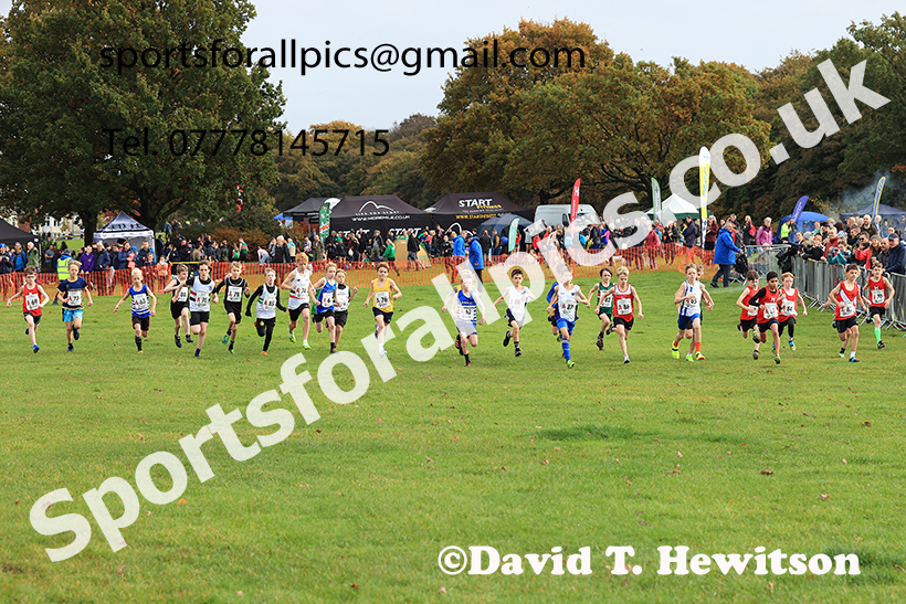 Boys under-11s, 2024 Northern Cross Country Relays, Graves Park, Sheffield.   Photo: David T. Hewitson/Sports for All Pics